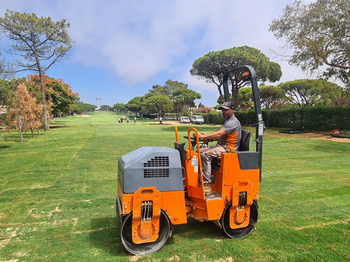Golfe-33